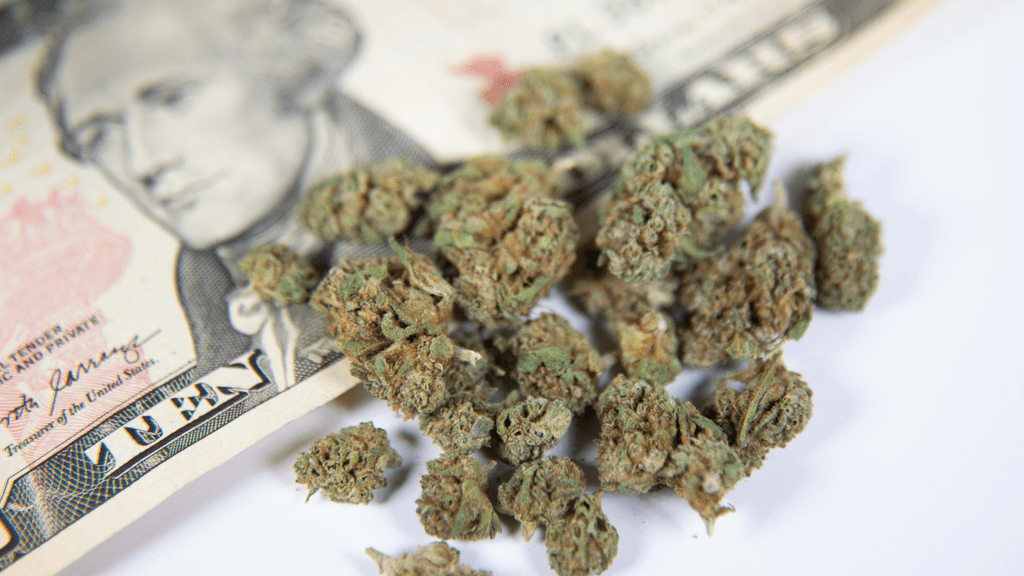 Beyond the Discount: Finding Profit in Cannabis Delivery Promotions